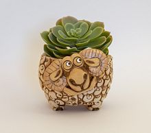 Зоокашпо Барашек для кактусов и суккулентов