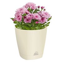 Кашпо Амстердам D250 8л сливочный с поддоном ING6202СЛ