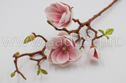 Искусственная ветка магнолия "Денудата" 2г.+1б.