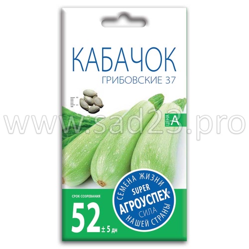 Кабачок Грибовский 37 (средний) *3г 