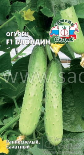 Огурец Блондин F1 *0,2г